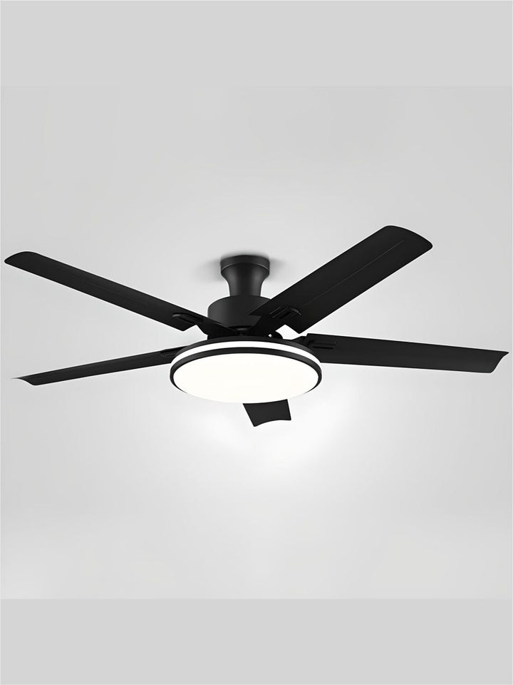 Designer Fans