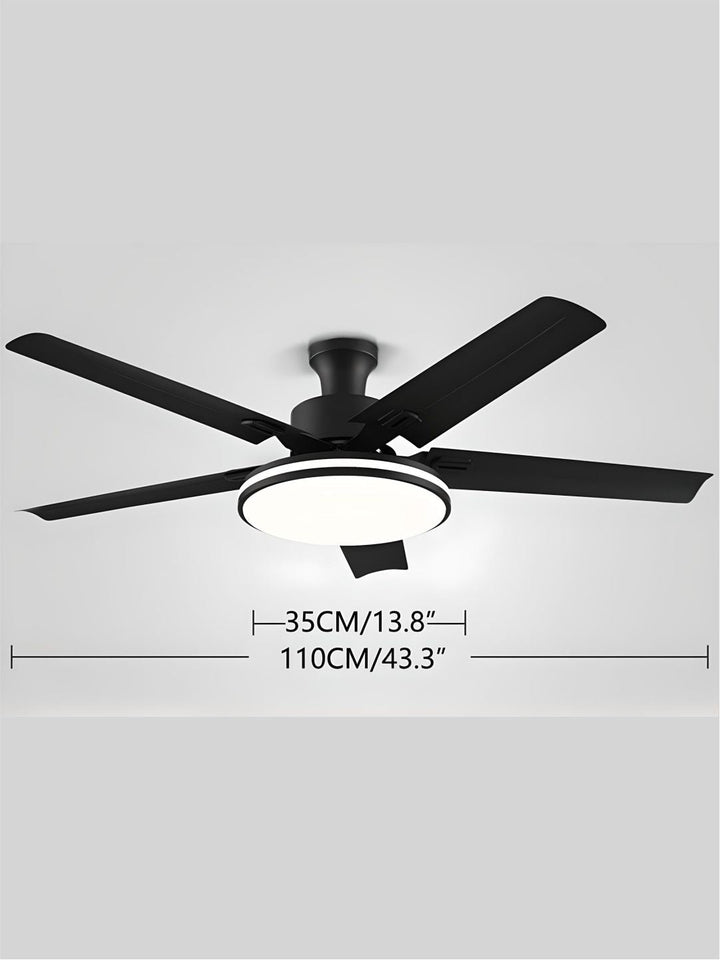 Designer Fans