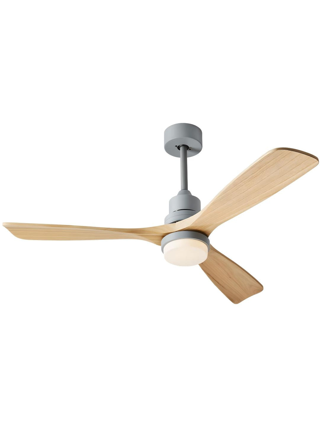 Designer Fans