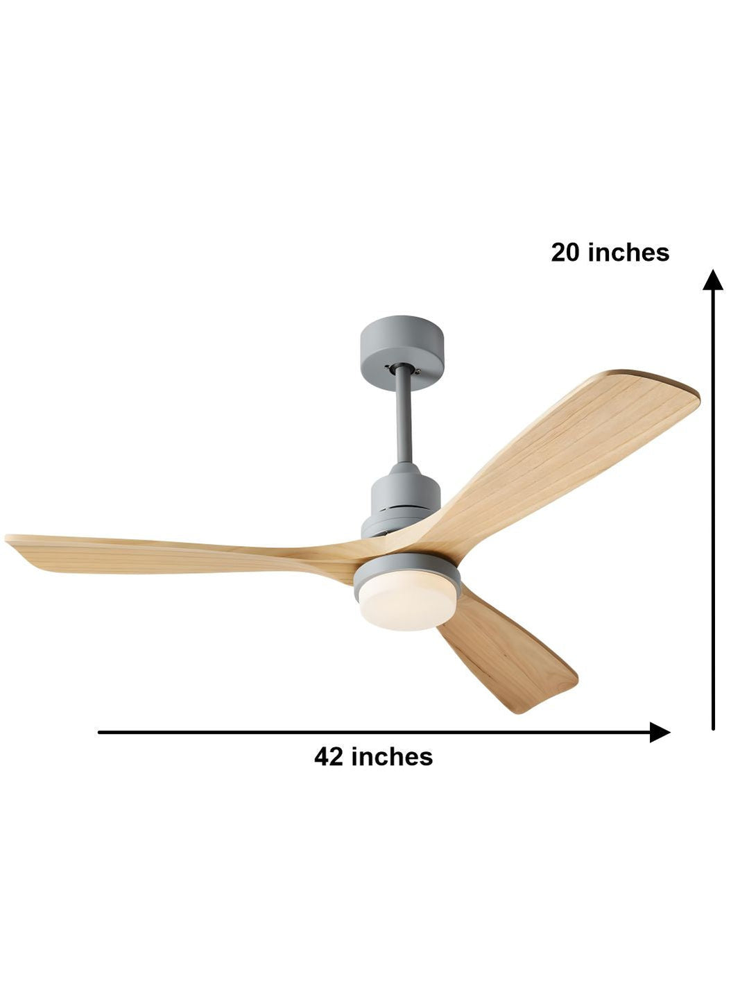 Designer Fans