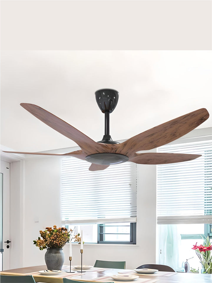 Designer Fans