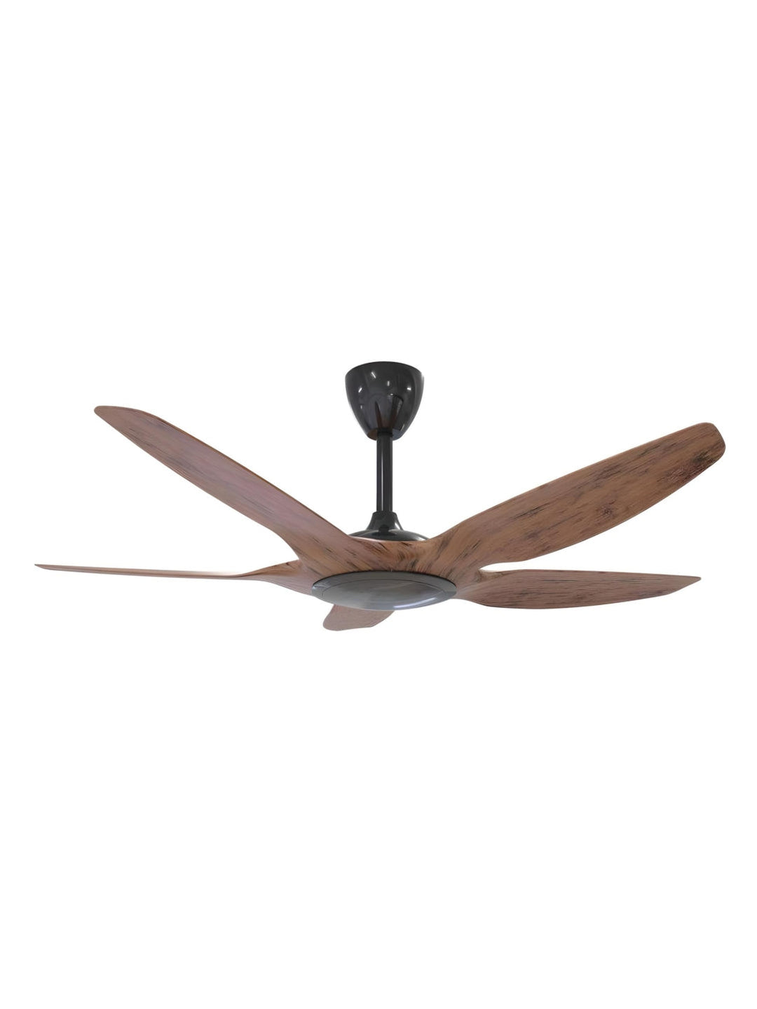 Designer Fans