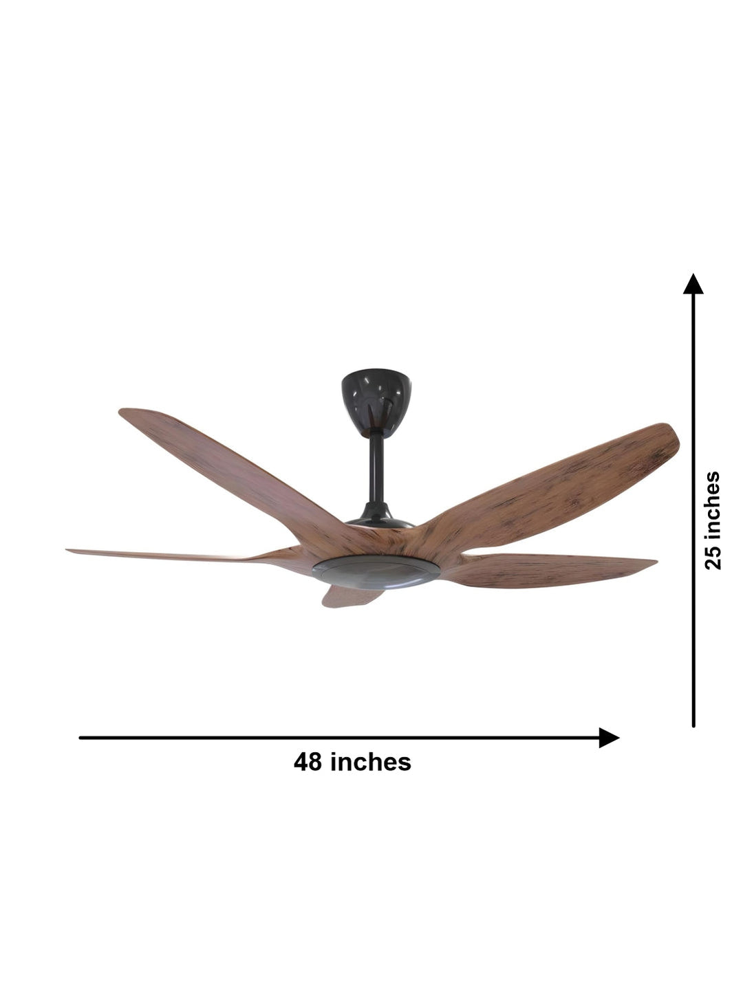 Designer Fans