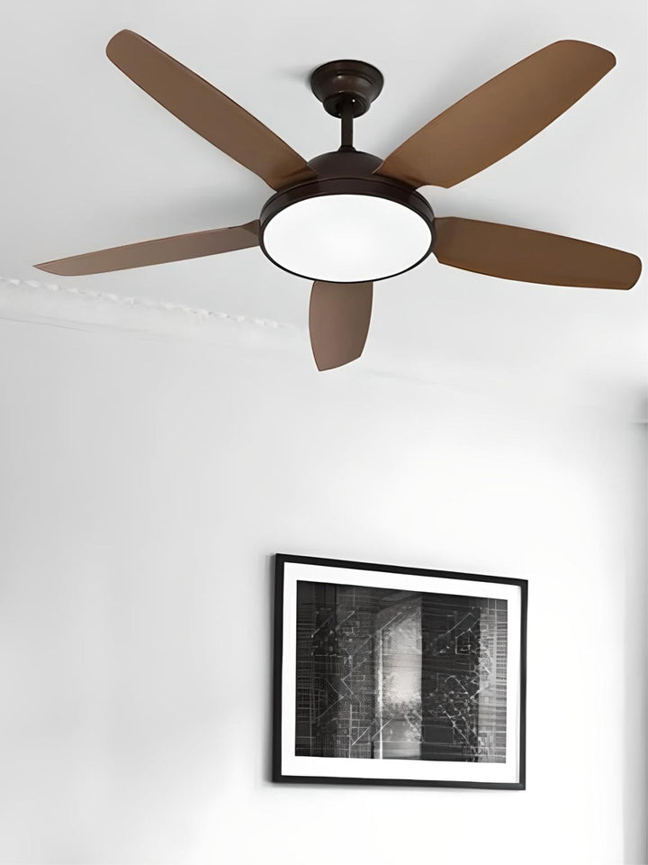 Designer Fans