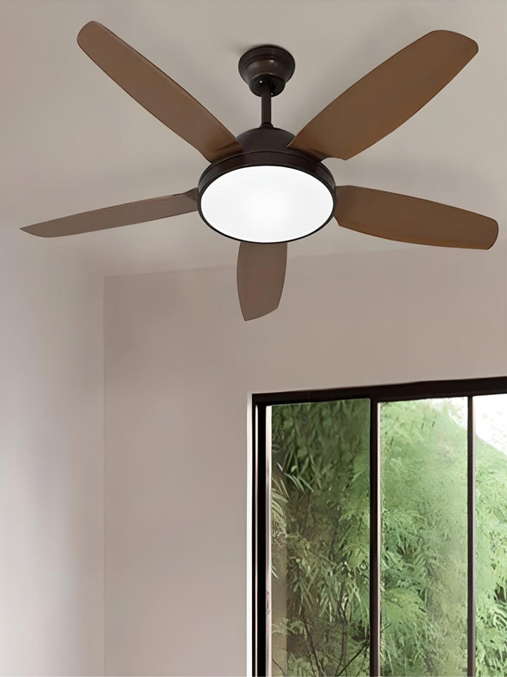 Designer Fans