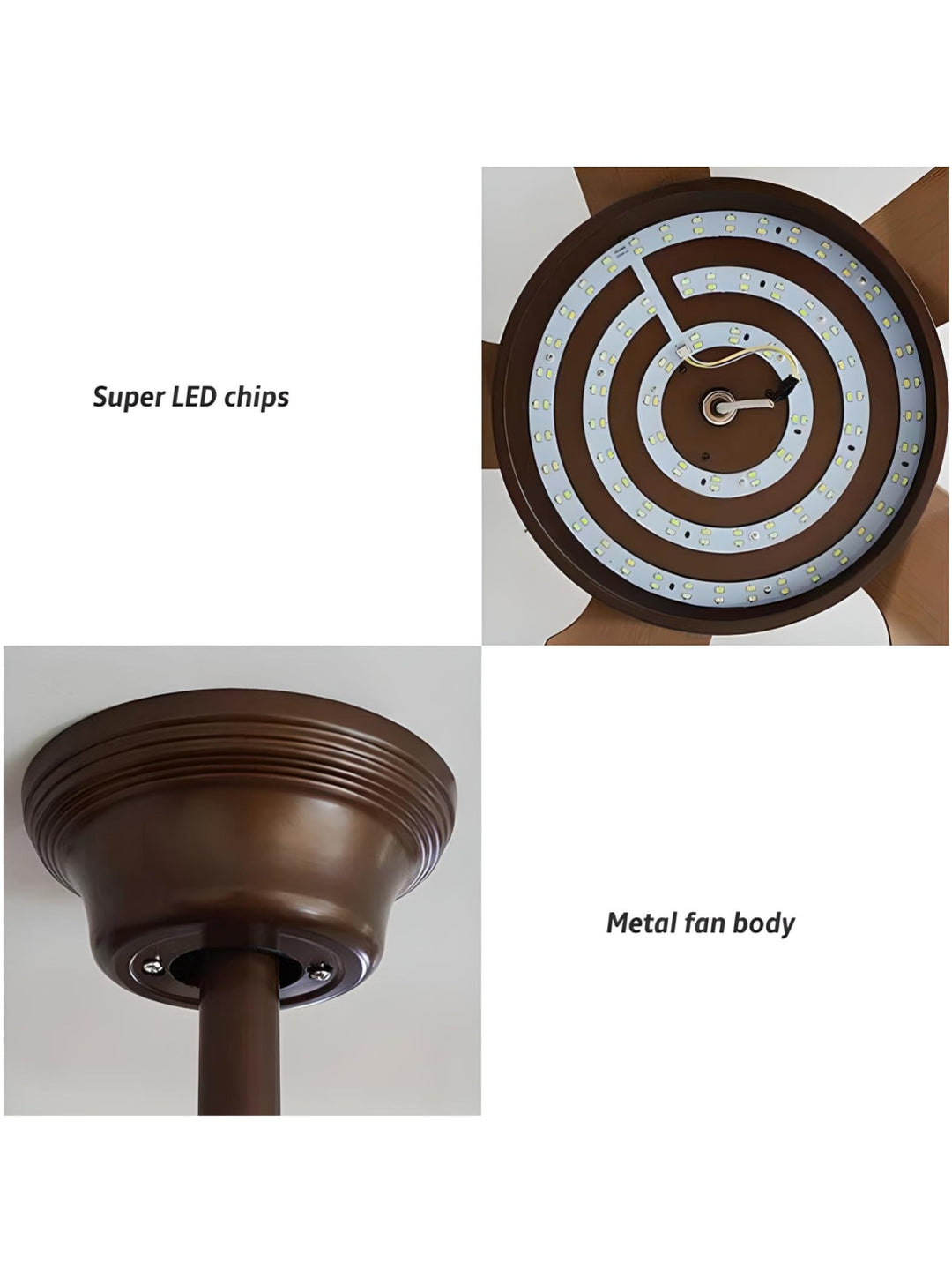 Designer Fans