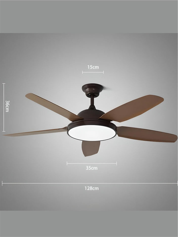Designer Fans