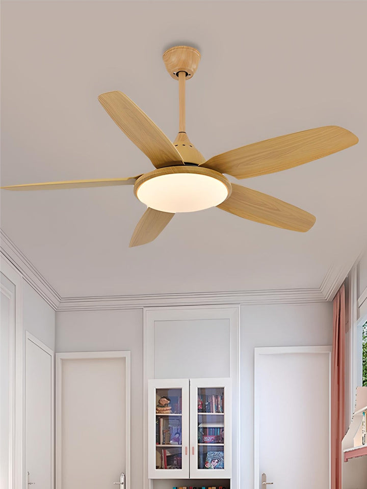 Designer Fans