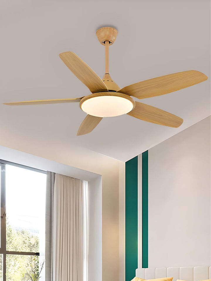 Designer Fans