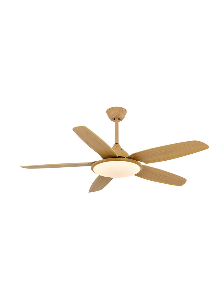 Designer Fans