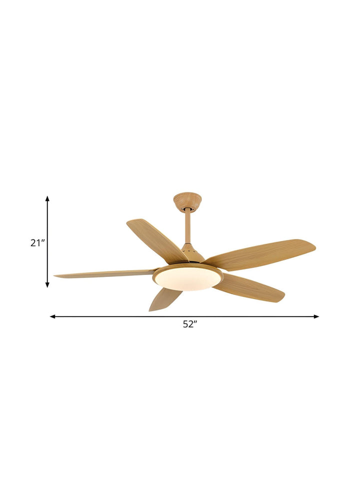 Designer Fans