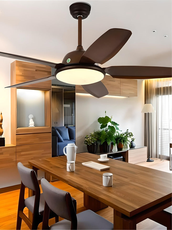 Designer Fans
