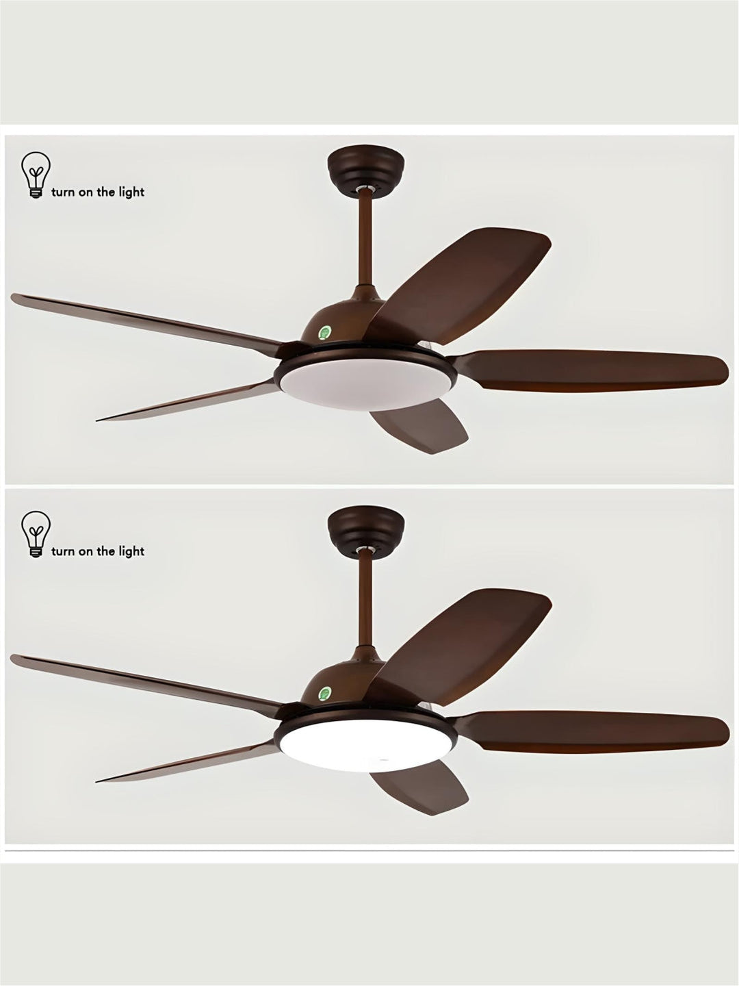 Designer Fans