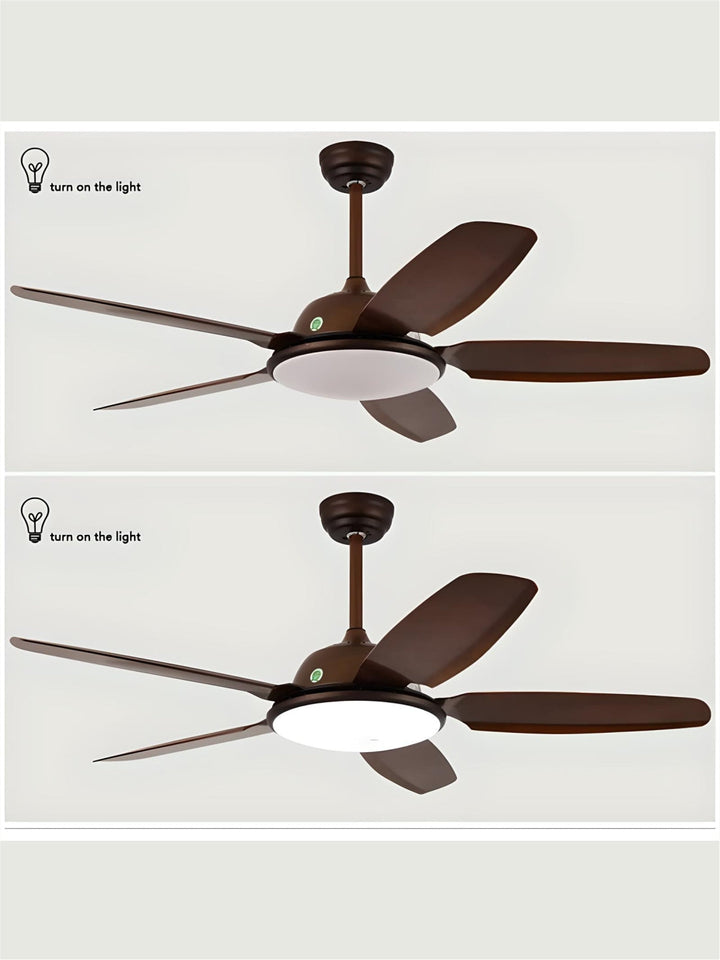 Designer Fans
