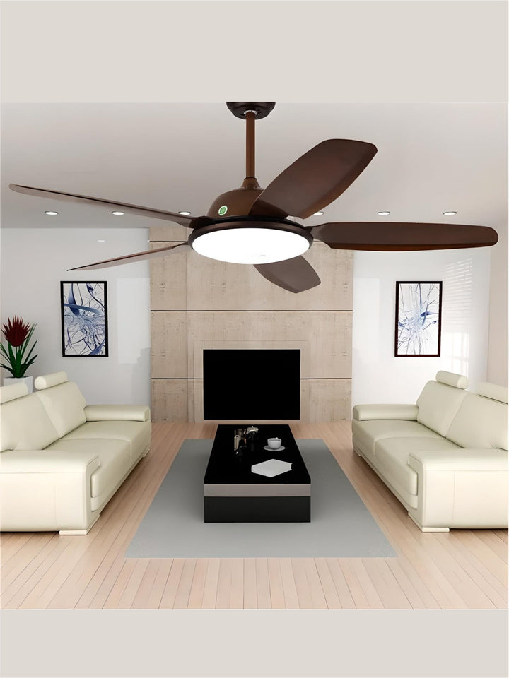 Designer Fans
