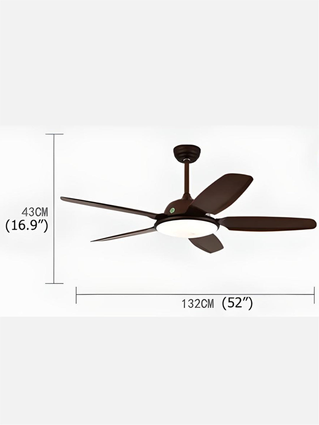 Designer Fans