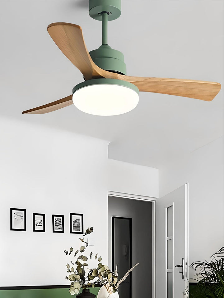 Designer Fans