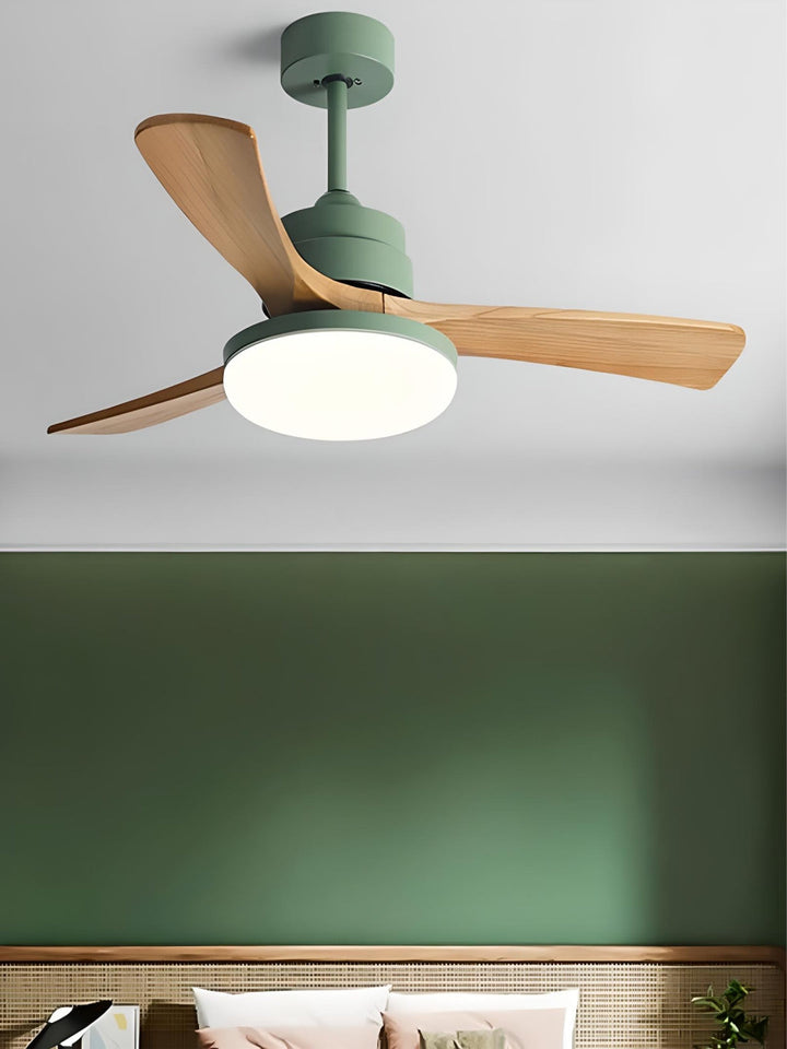 Designer Fans