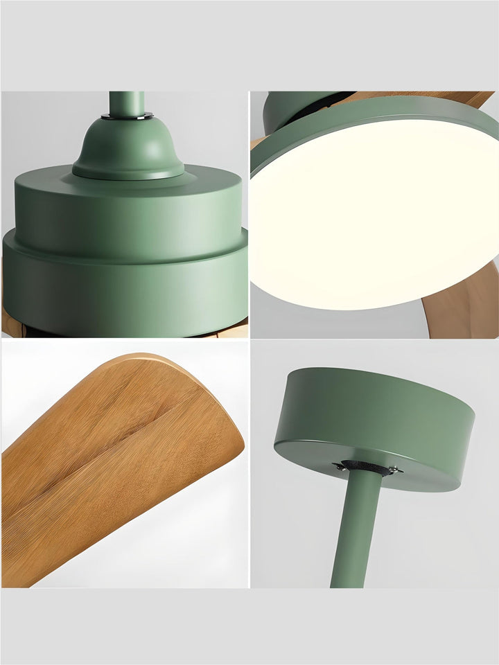 Designer Fans