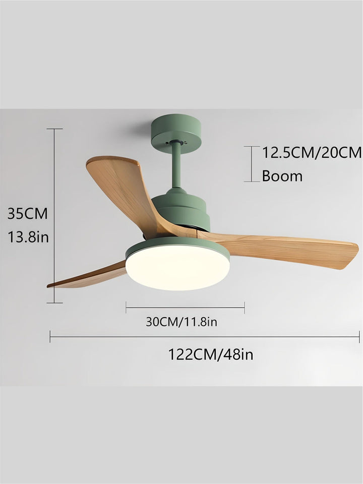 Designer Fans