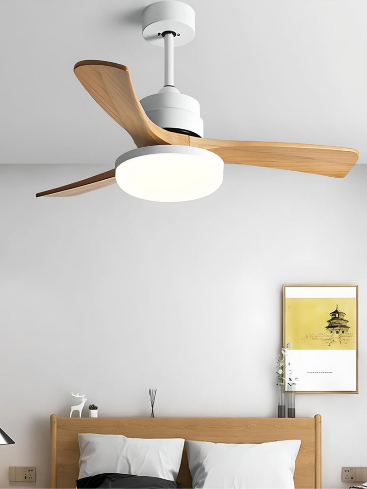 Designer Fans