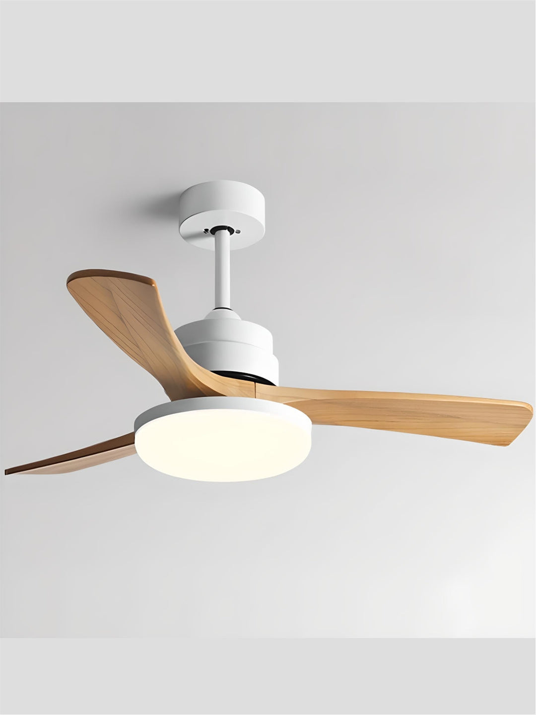 Designer Fans