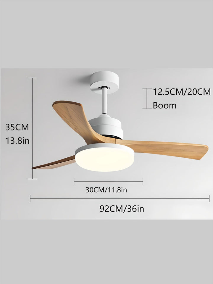 Designer Fans