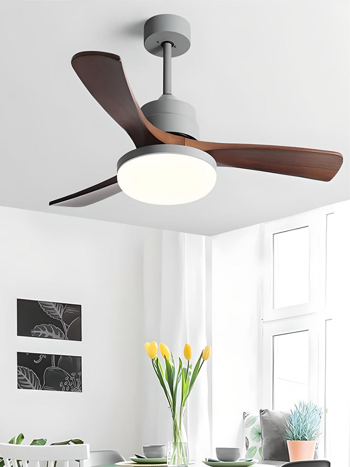 Designer Fans