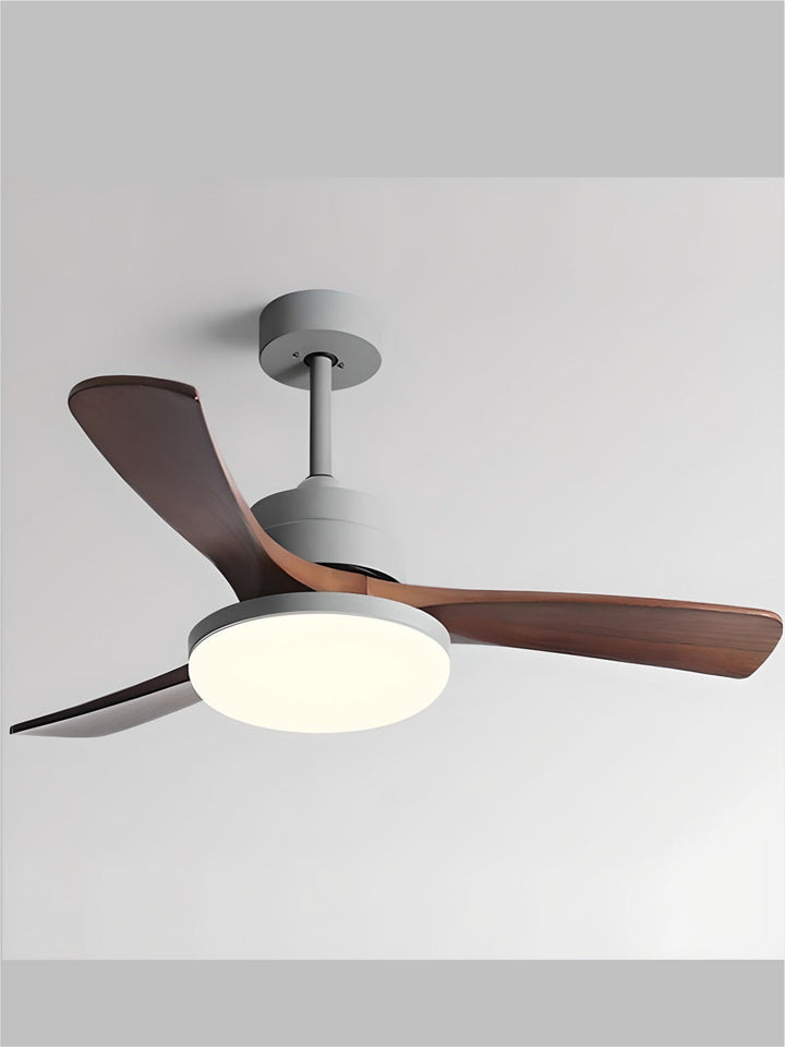 Designer Fans