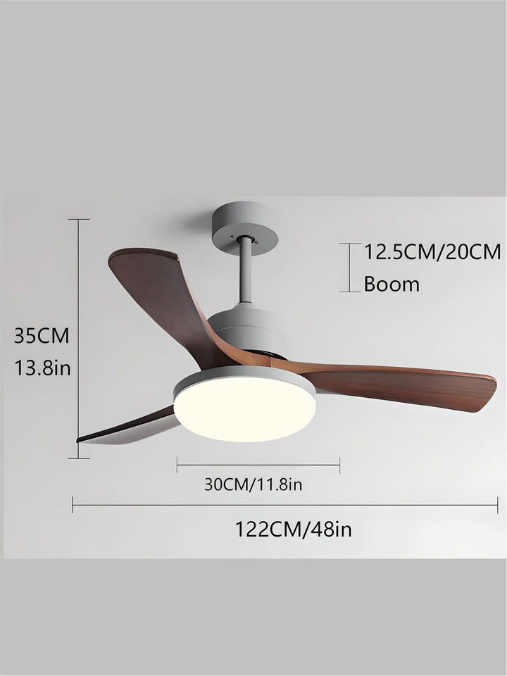 Designer Fans