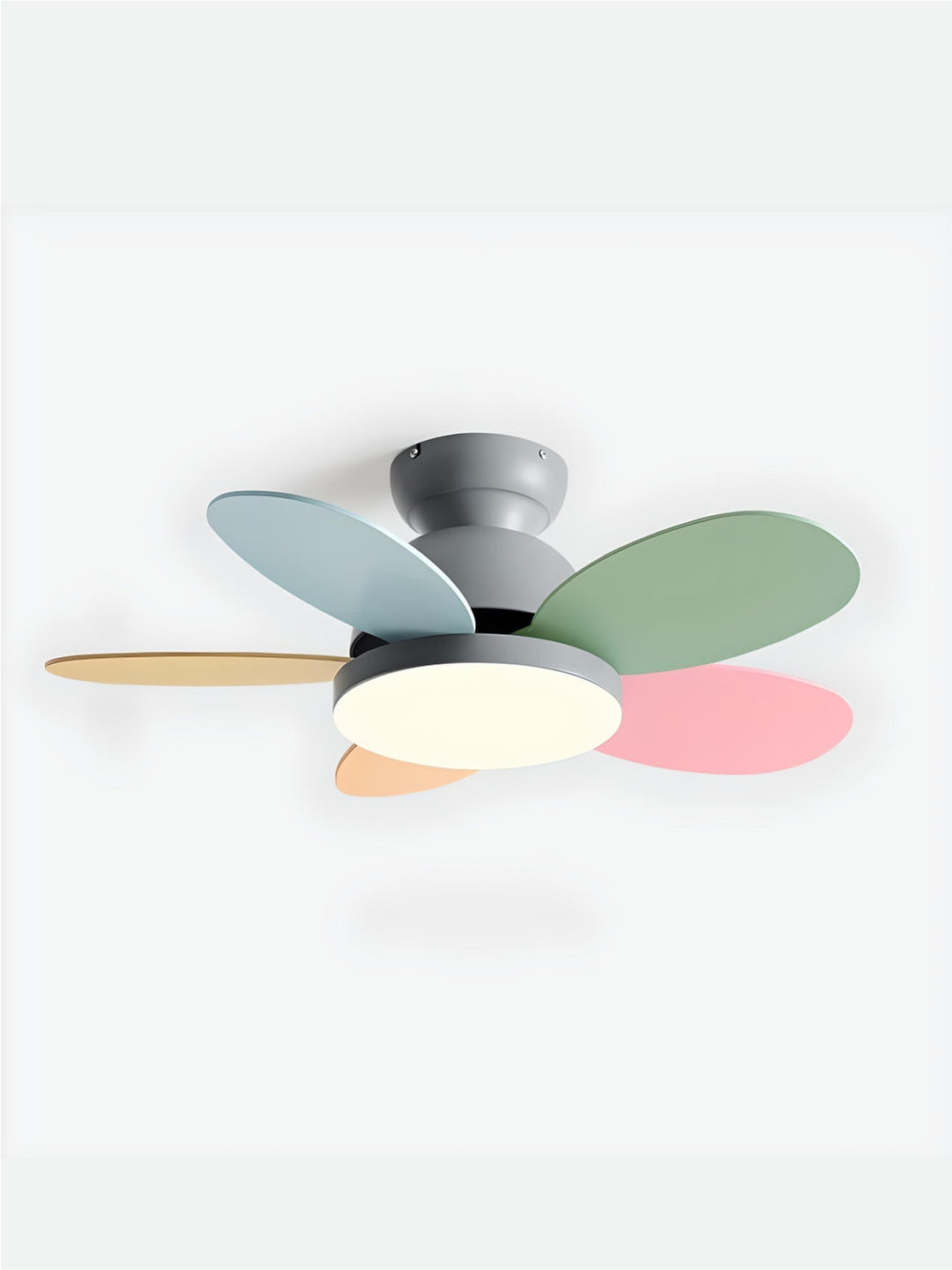 Designer Fans