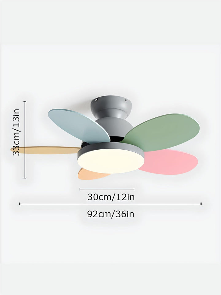 Designer Fans