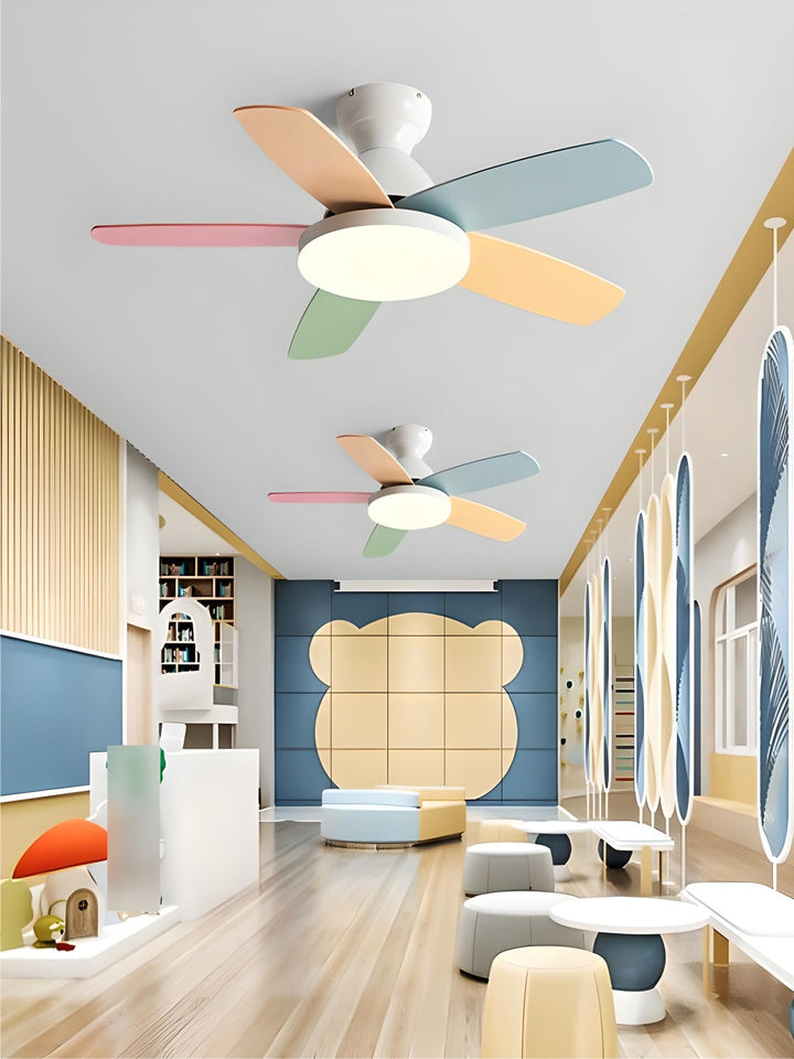 Designer Fans