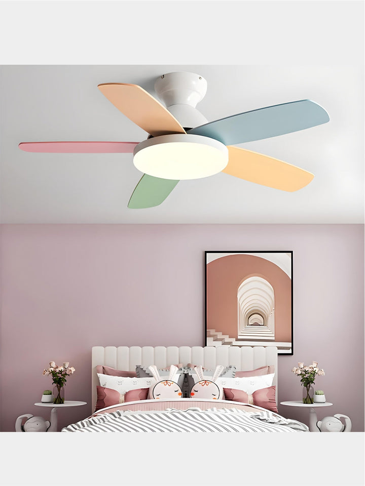 Designer Fans