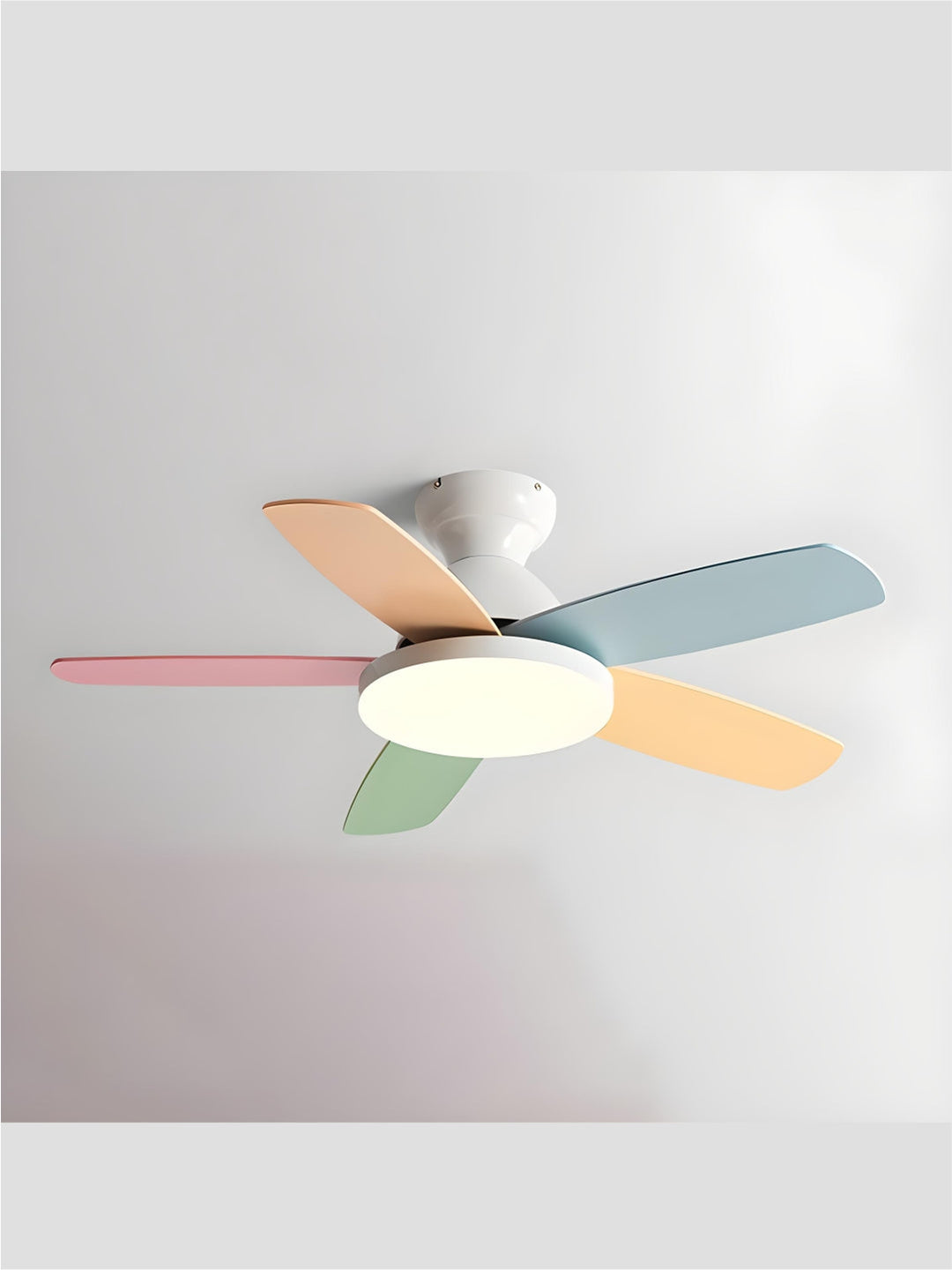 Designer Fans