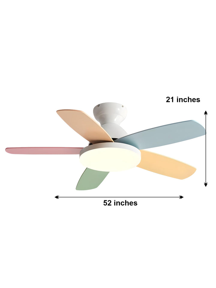 Designer Fans