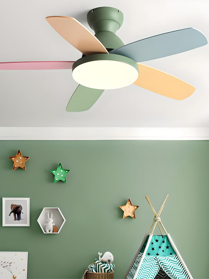 Designer Fans