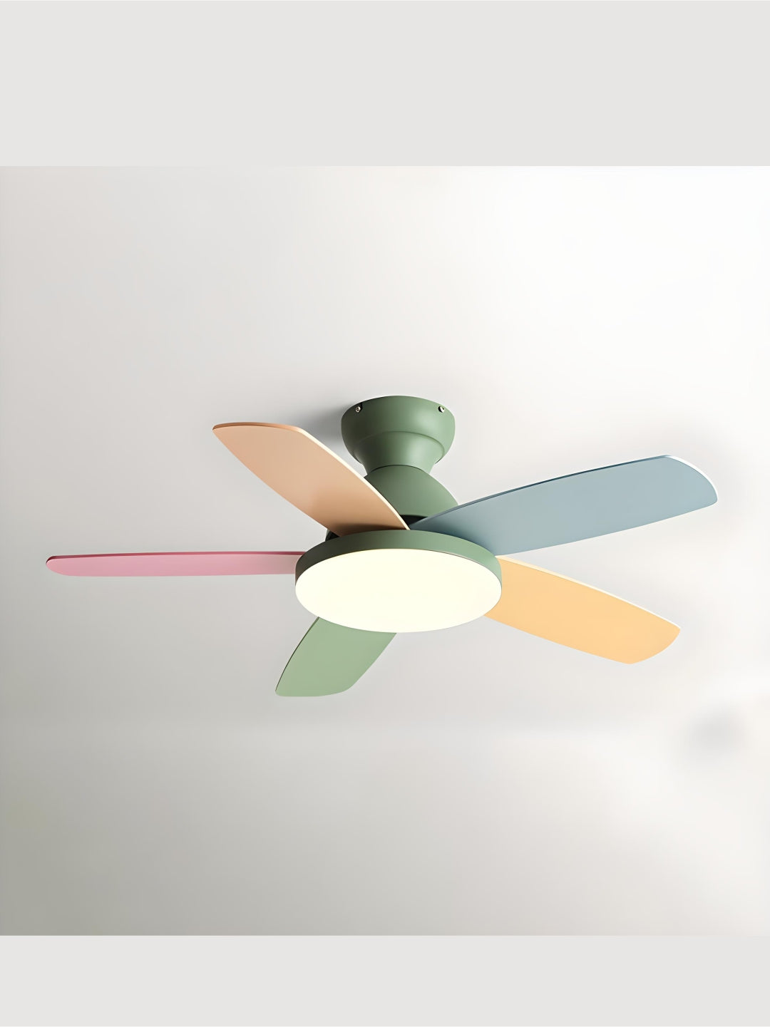 Designer Fans