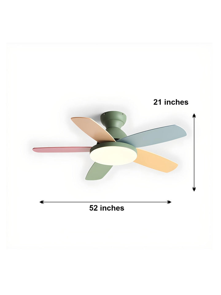 Designer Fans