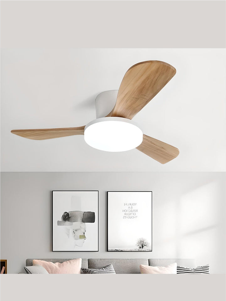 Designer Fans
