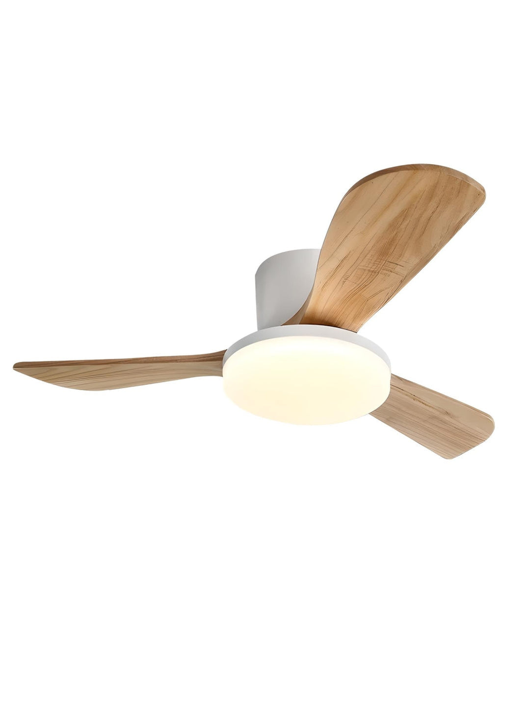 Designer Fans