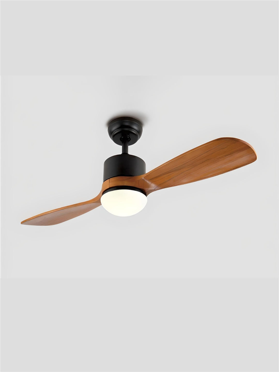 Designer Fans
