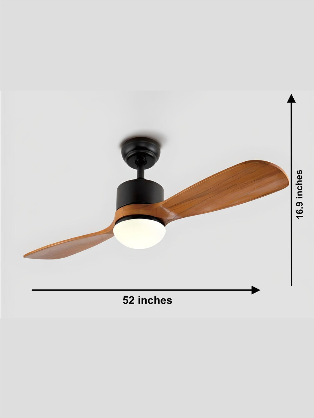 Designer Fans