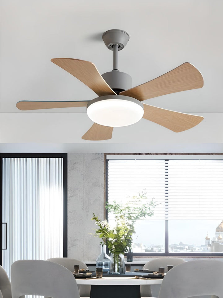 Designer Fans