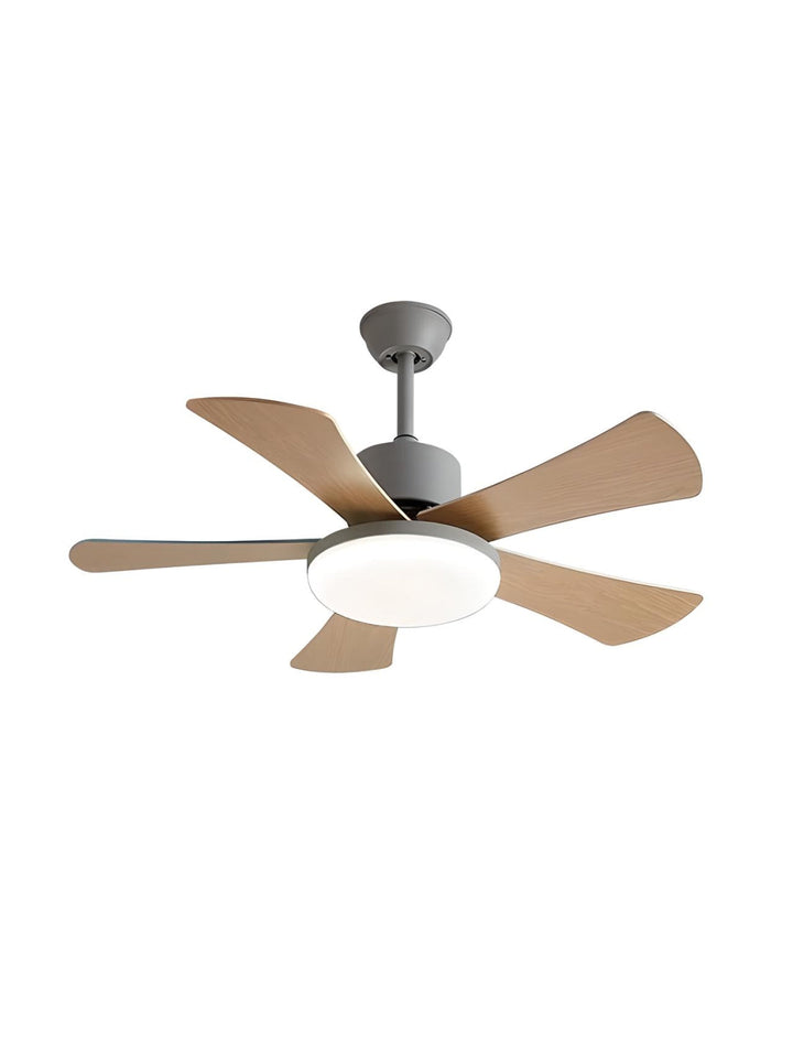 Designer Fans