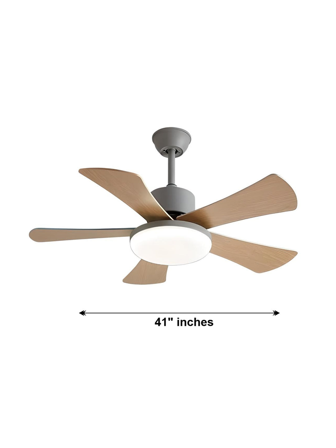Designer Fans