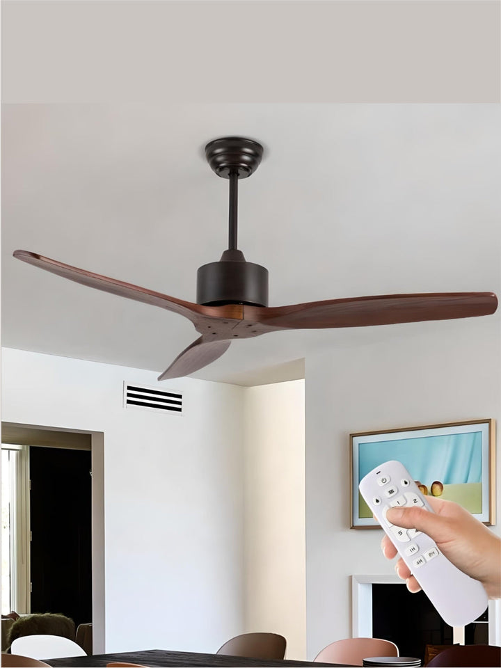Designer Fans
