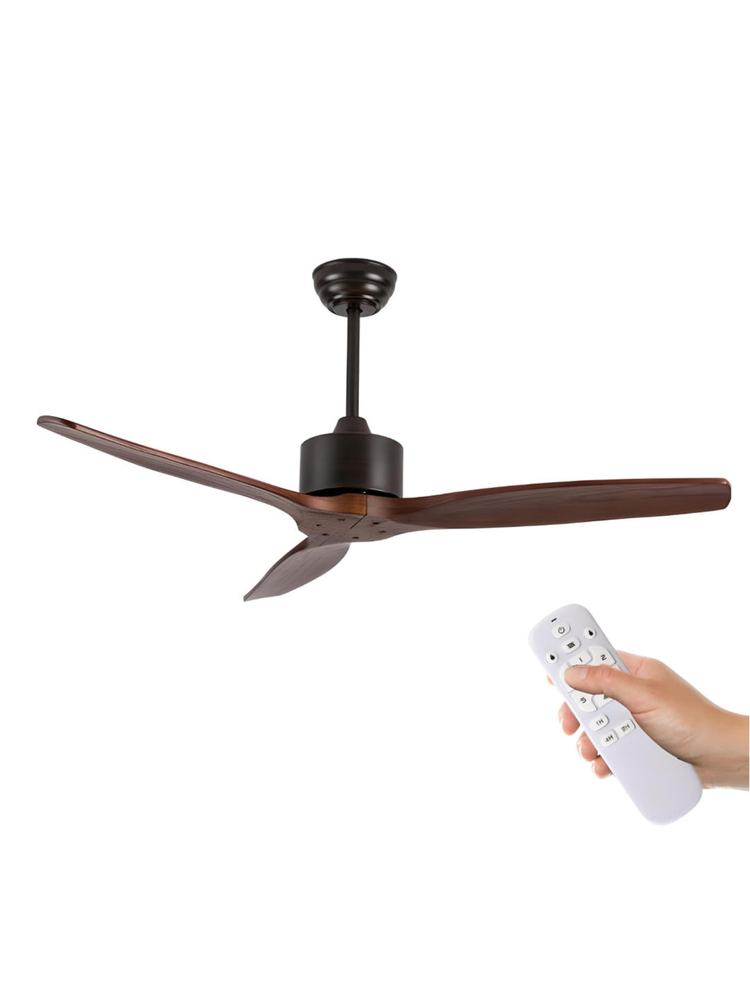 Designer Fans