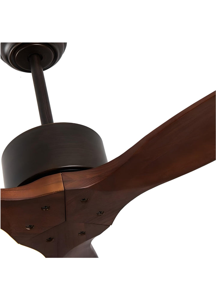 Designer Fans