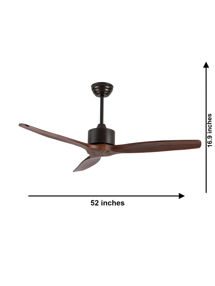 Designer Fans
